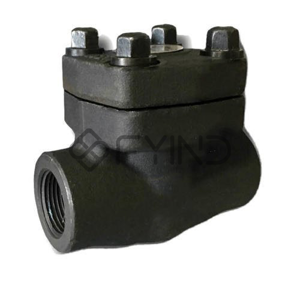 Check Valve