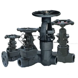 Gate Valve