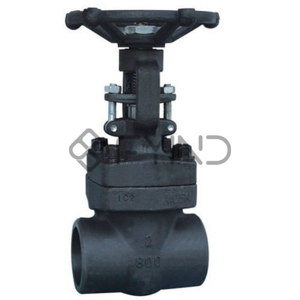 Globe Valve