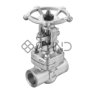 Globe Valve