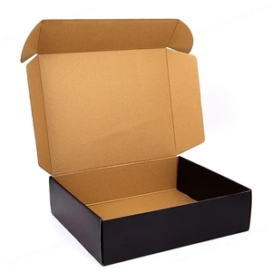 Carton Box