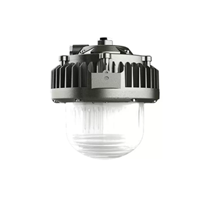 Explosion Proof Light