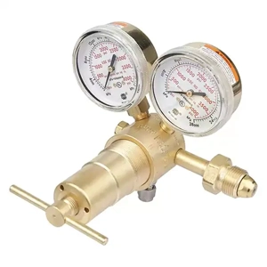 Gas Regulator