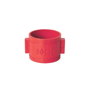Check Valve
