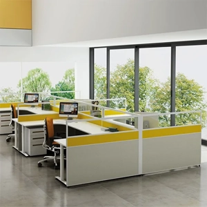 Glass Partition