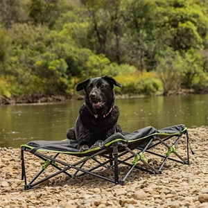 Pet Bed