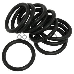 O Ring Gasket