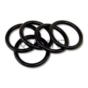 O Ring Gasket