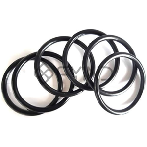 O Ring Gasket