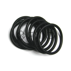 O Ring Gasket