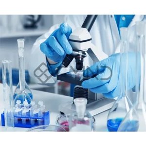 Vehicle Repair Service