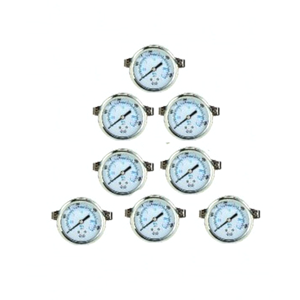Differential Pressure Gauge