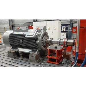Electric Motor