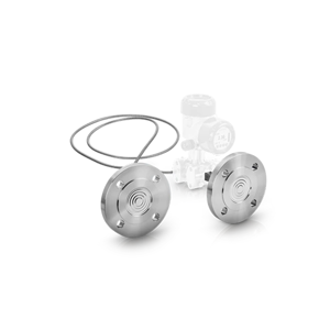 Diaphragm Seal