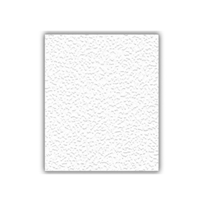 Ceiling Tile
