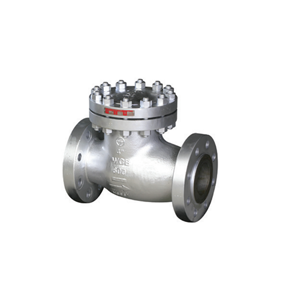 Check Valve