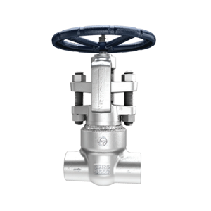 Globe Valve