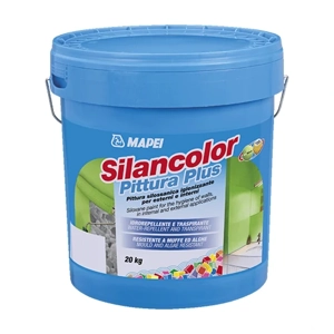 Silicone Paint