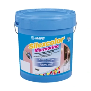 Silicone Paint