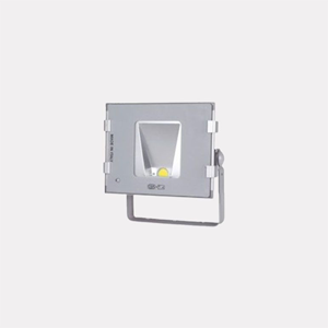 Flood Light