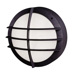 Wall Light