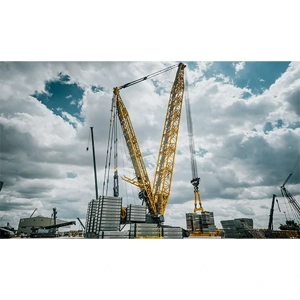 Crawler Crane