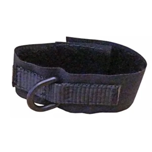 Lanyard