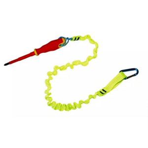 Lanyard
