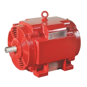 Pump Motor