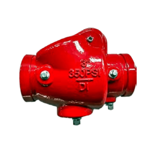 Swing Check Valve