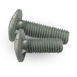 Carriage Bolt