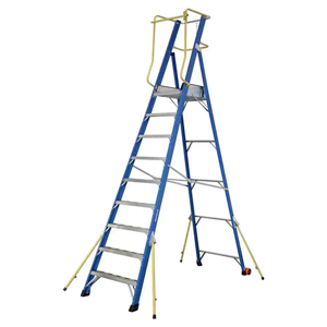 Platform Ladder