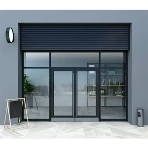 Automatic Door