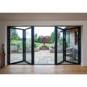 Folding Door