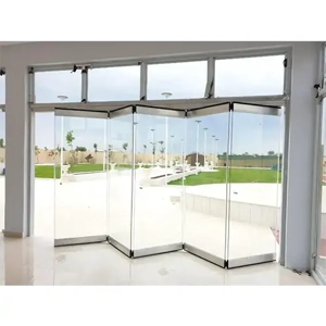 Folding Door