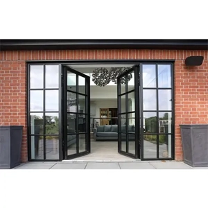 Metal Door