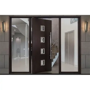 Metal Door