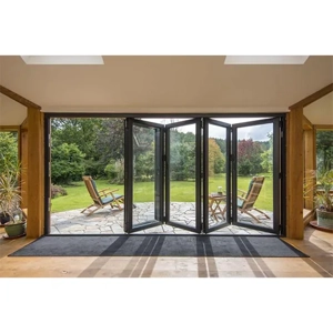 Folding Door