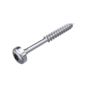 Pan Head Screw