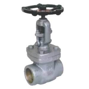 Globe Valve