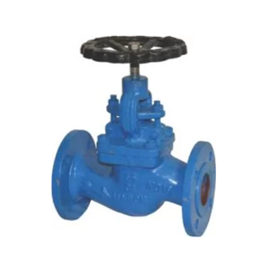 Globe Valve