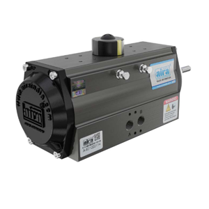 Pneumatic Actuator