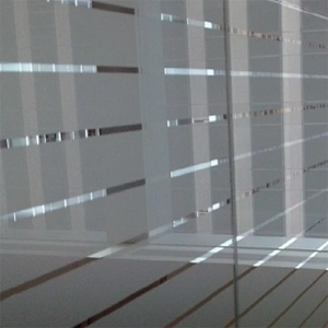 Translucent Film