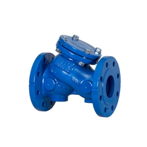 Lift Check Valve