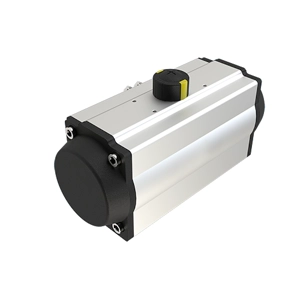 Pneumatic Actuator