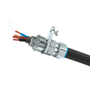 Cable Gland