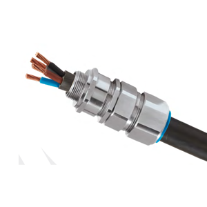 Cable Gland