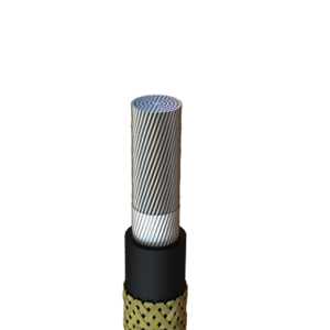 Power Cable
