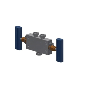 Manifold Valve