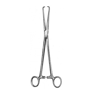 uae/images/productimages/medical-trade-hub/tenaculum-forceps/hilbro-pozzi-tenaculum-forceps-25-5-cm.webp